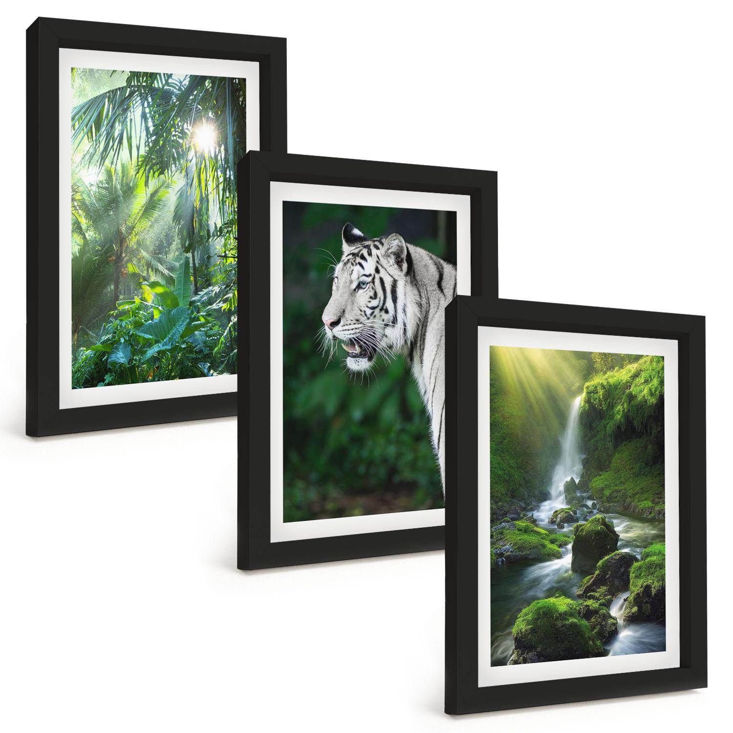 BILDER SET 3er Set - 20x30 cm Schwarzer Rahmen - Dschungeltigerwasserfall - Schwarz, Kunststoff (20/30cm) - TULUP