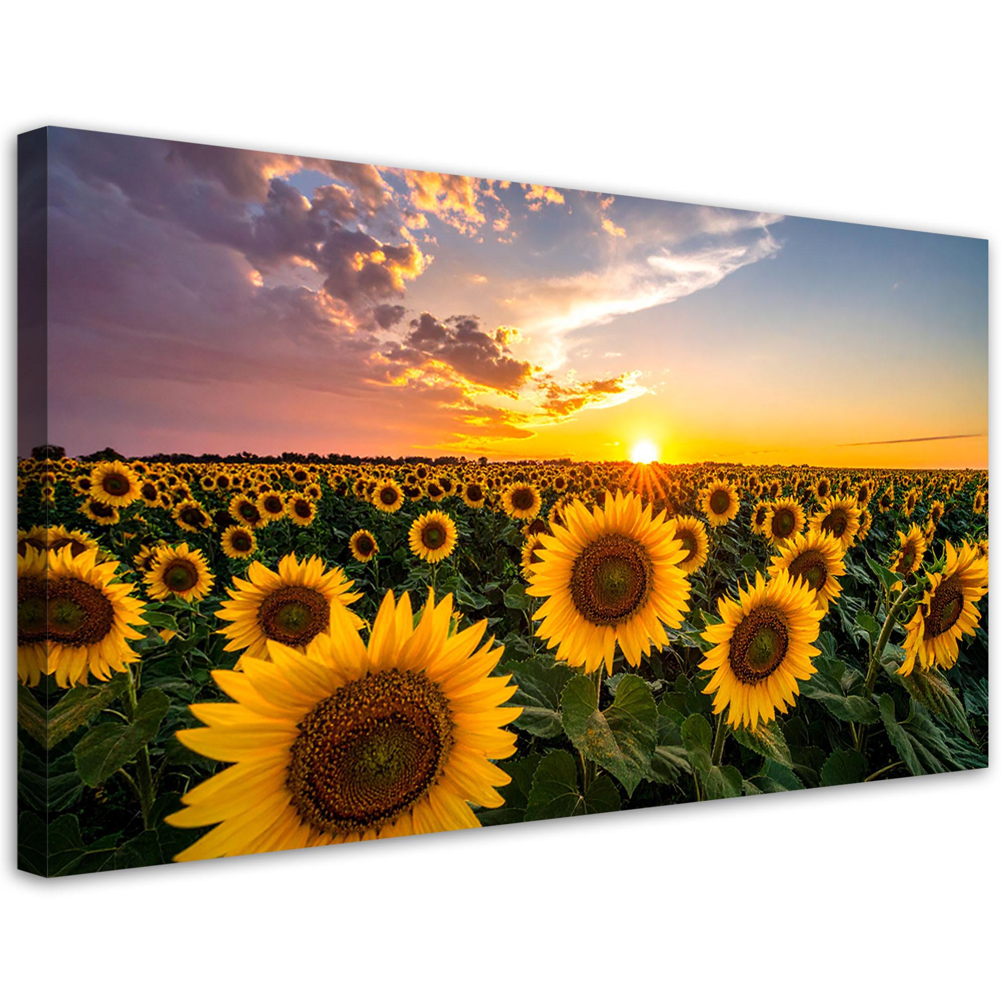 LEINWANDBILD Landschaften 80x40cm - Gelb, Textil (80/40cm) - Feeby