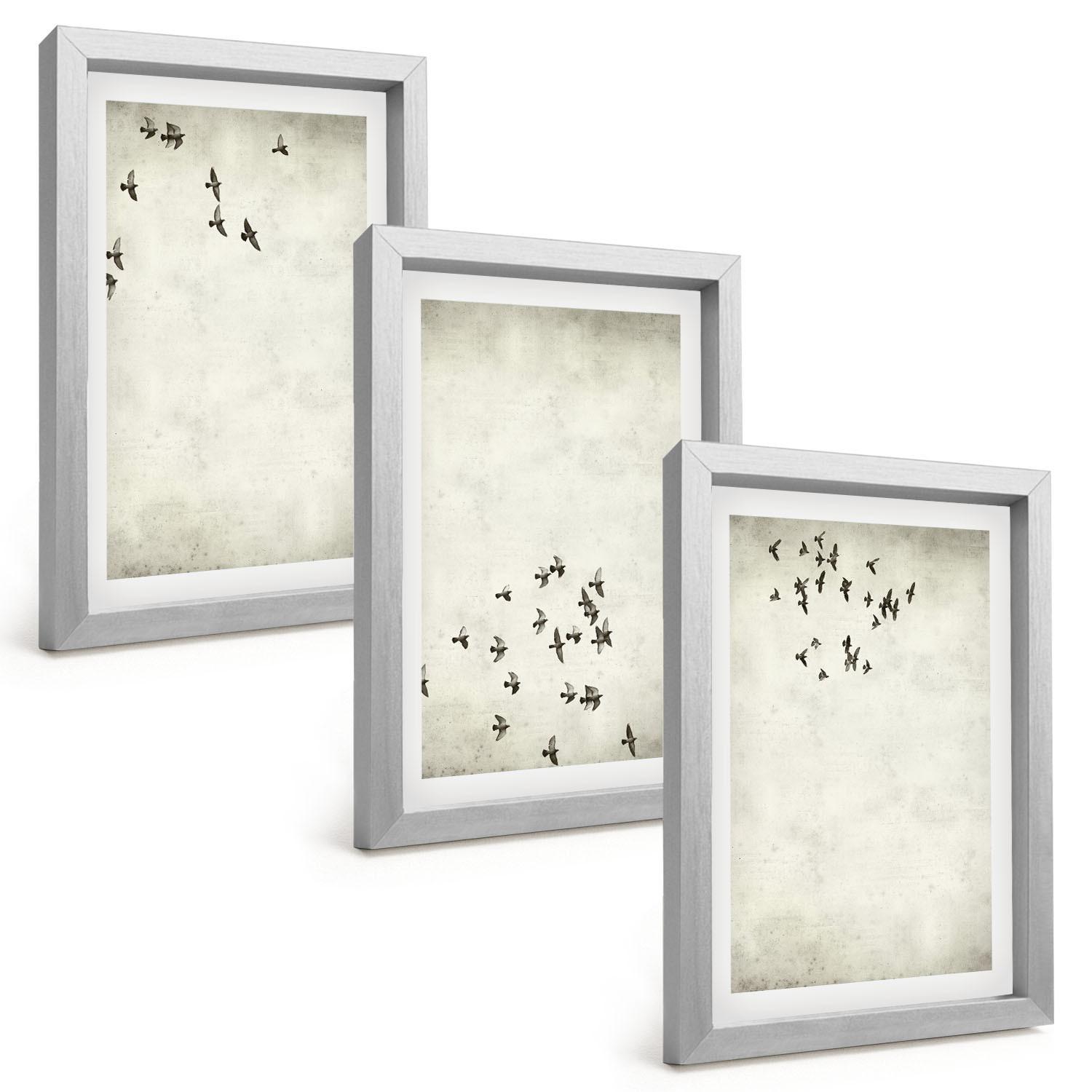 BILDER SET 3er Set - 20x30 cm Silberner Rahmen - Minimalistische Vogelmalerei - Silberfarben, Kunststoff (20/30cm) - TULUP