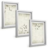BILDER SET 3er Set - 20x30 cm Silberner Rahmen - Minimalistische Vogelmalerei - Silberfarben, Kunststoff (20/30cm) - TULUP