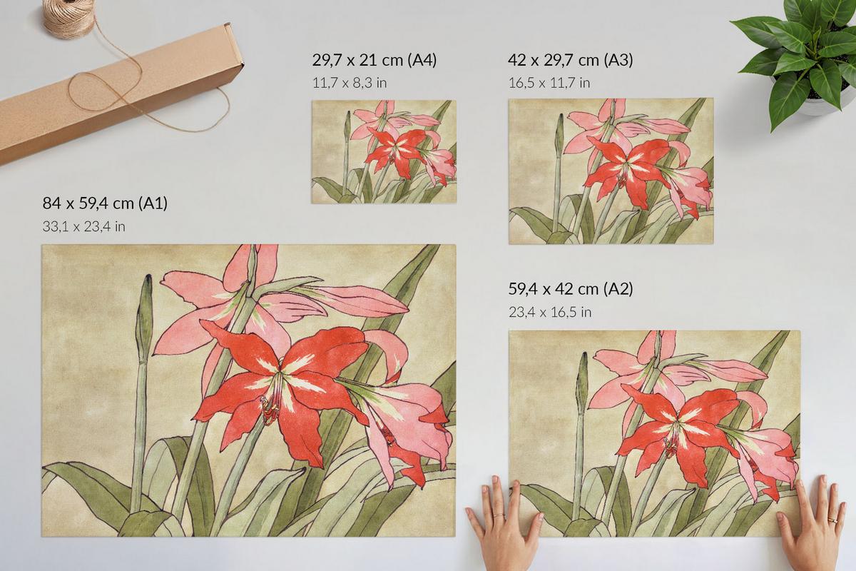 POSTER - 29x21 cm (A4) - Hannah Borger Overbeck - Amaryllis - Grün, Textil (29.7/21/0.1cm) - TULUP