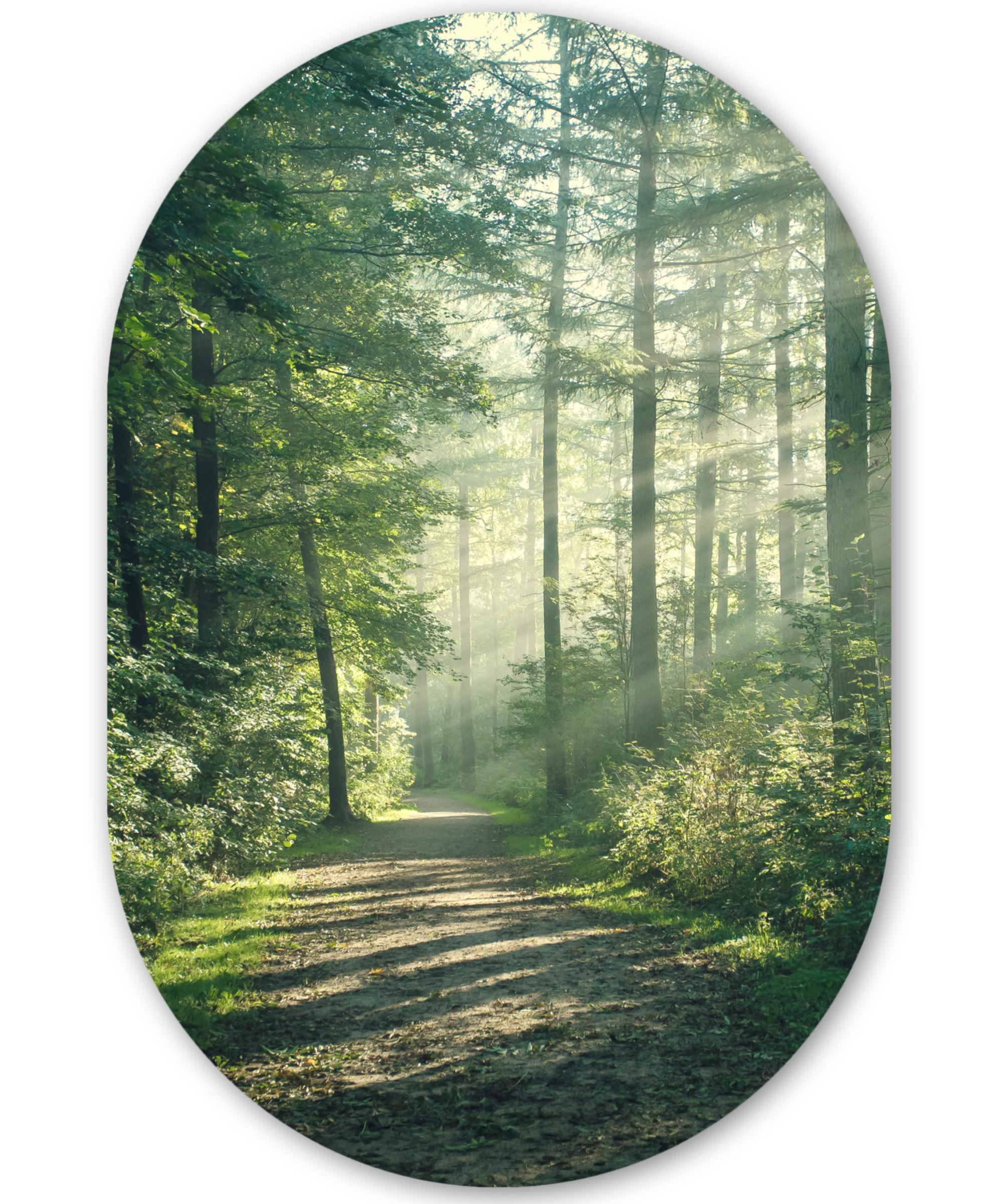 WANDBILD Wald - Weg - Sonne - Bäume - Grün - Natur Wanddeko Schlafzimmer 60x90 cm - Waldgrün, Kunststoff (60/90cm) - MuchoWow