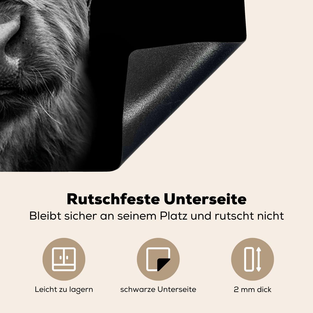 HERDABDECKPLATTE Schottischer Highlander - Hörner - Schwarz - Weiß - Kuh - Wild - Tiere Herdabdeckung Induktionsfeld 70x52 cm - Schwarz, Kunststoff (70/52/0.2cm) - MuchoWow