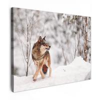 LEINWANDBILD Wolf - Winter - Schnee - Natur - Tiere Wandbild 40x30 cm - Haselnussfarben, Textil (40/30cm) - MuchoWow