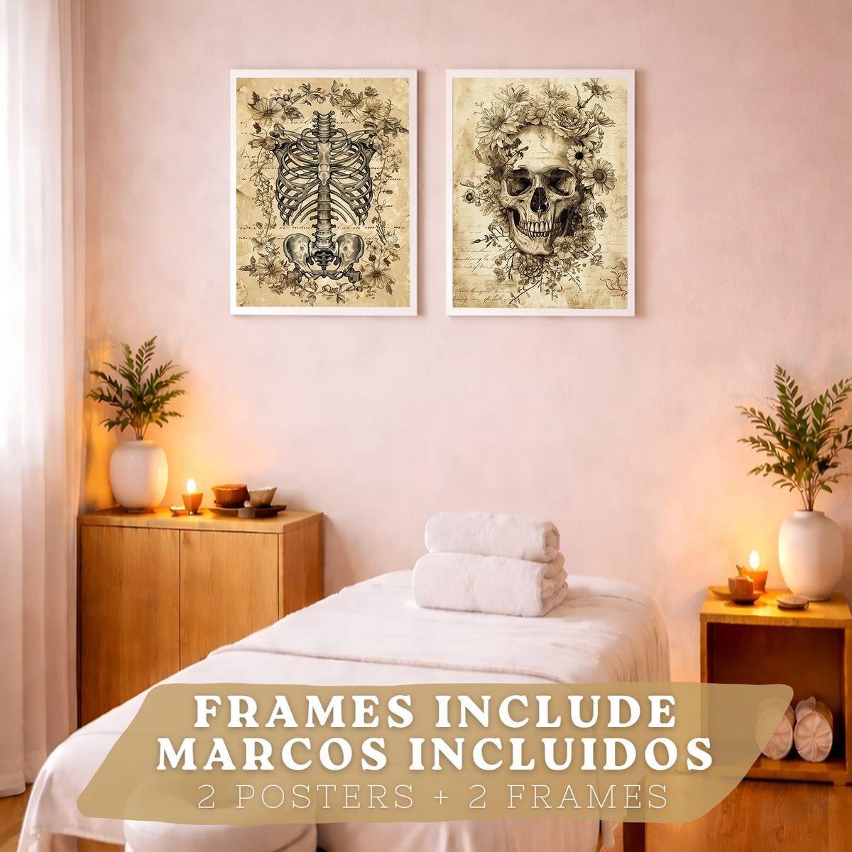 POSTER Set aus 2 Anatomie Mensch Drucke und Wandbilder mit Schädel Wirbelsäule Rippen Becken Klassisches Vintage Design Größe Weißer Rahmen A3 - Weiß, Papier (29.7/42/3cm) - Nacnic