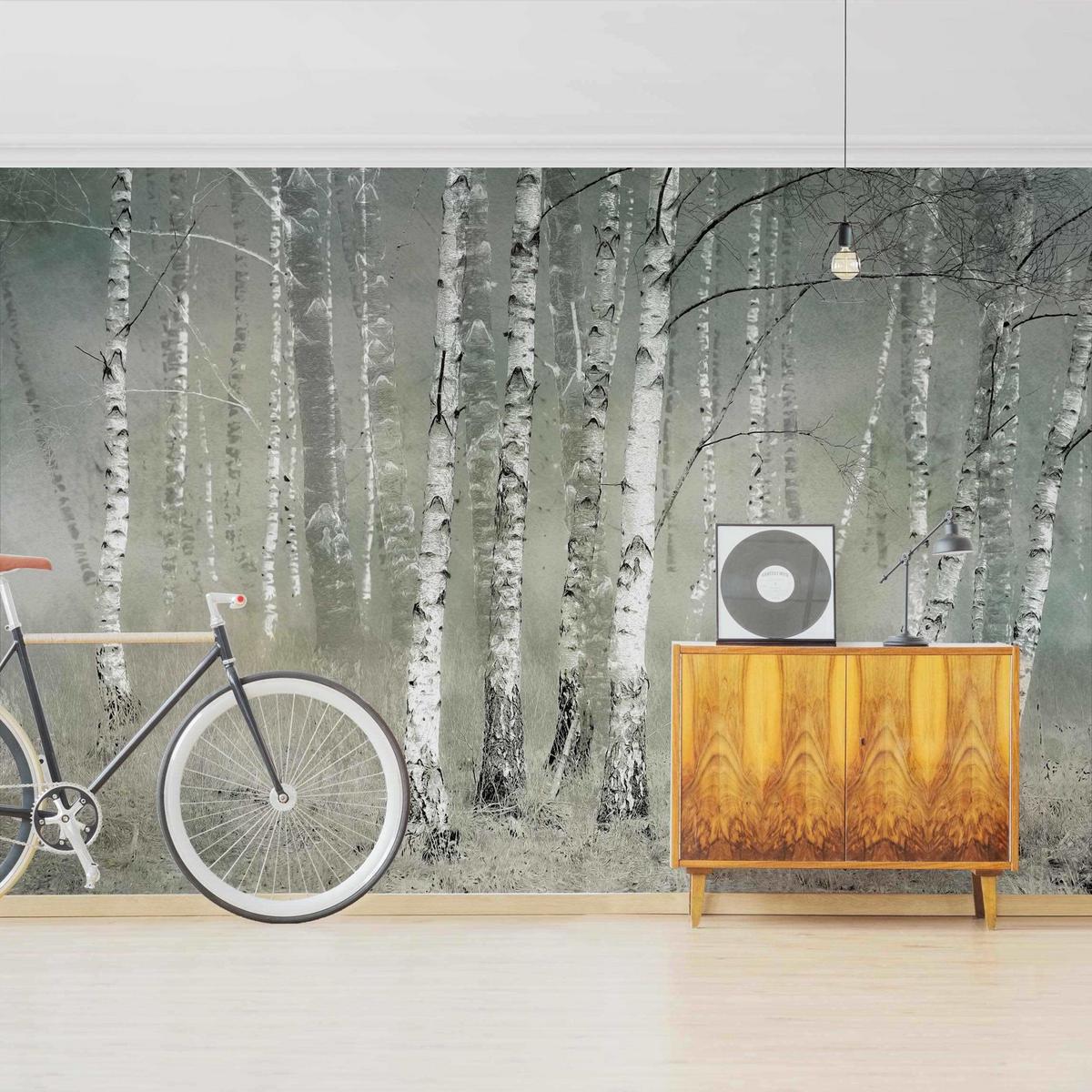 FOTOTAPETE Ruhender Birkenwald 432/290 cm - Grau, Papier (432/290cm) - Bilderwelten