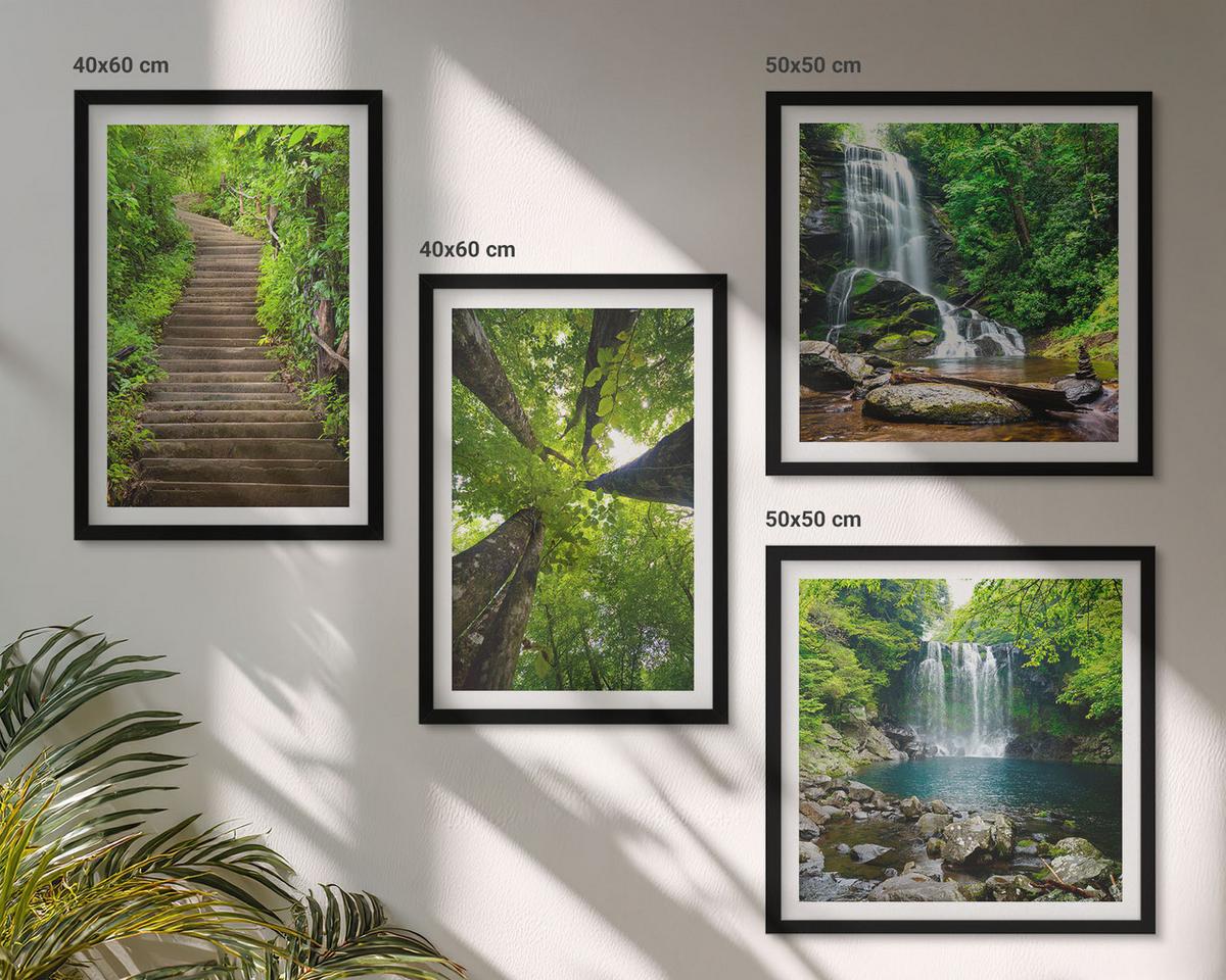 BILDER SET 4er Set - 50x50 cm & 40x60 cm Schwarzer Rahmen - Pfad Wald Wasserfall Vegetation - Schwarz, Kunststoff (50/50cm) - TULUP