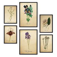 POSTER Set Mit 6 Vintage Blumen Sammlung A3 & A4 Schwarzer Rahmen - Schwarz, Papier (29/3cm) - Nacnic