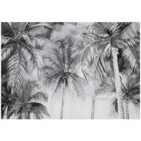 FOTOTAPETE Schwarz Weiß Palmen Natur Wohnzimmer Vlies Tapete 400x280 - Multicolor, Papier (400/280cm) - Wallarena