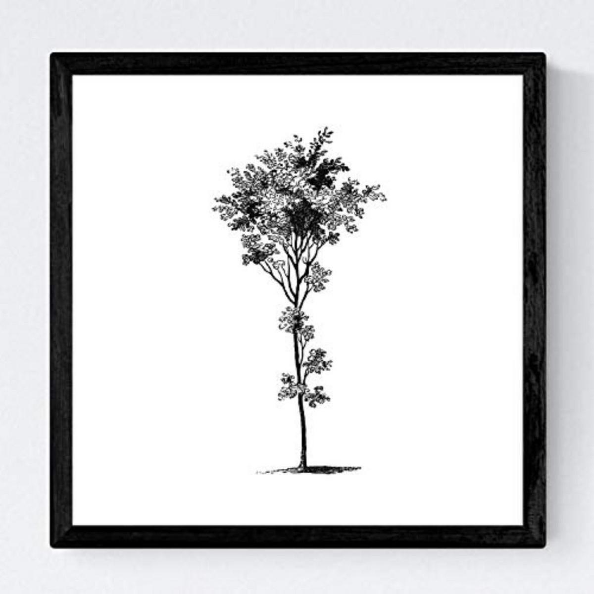 POSTER Set mit 4 Blättern der Baumstämme weißer Hintergrund 20x20cm Schwarzer Rahmen - Schwarz, Papier (20/3cm) - Nacnic