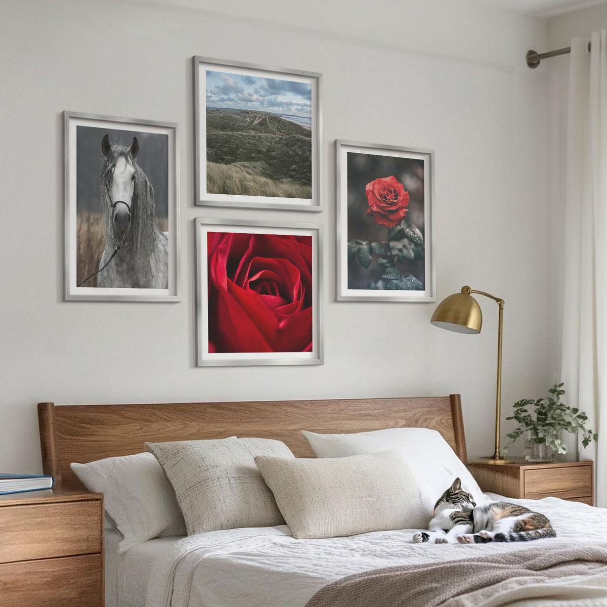 BILDER SET 4er Set - 50x50 cm & 40x60 cm Silberner Rahmen - Rote Rosen auf pferdegrauem Hintergrund - Silberfarben, Kunststoff (50/50cm) - TULUP