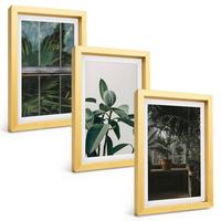 BILDER SET 3er Set - 20x30 cm Goldrahmen - Grüne Blätter an der Fensterpflanze - Goldfarben, Kunststoff (20/30cm) - TULUP
