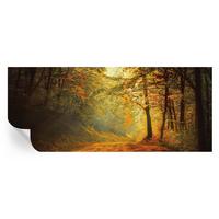 FOTOTAPETE 250x104 cm - Herbstlandschaft - Gelb, Textil (250/104cm) - Wallfluent