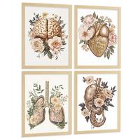 POSTER Set aus 4 Körper Anatomie Drucke mit Gehirn Herz Lungen Luftröhre Bronchien Nieren Verdauungssystem Magen Darm Größe Leichter Holzrahmen A4 - Beige, Papier (21/29.7/3cm) - Nacnic