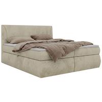 BOXBETT TARENZA 180/200 - Beige Velvet - Topper T25 - H3 - Beige/Schwarz, Kunststoff/Textil (180/200cm) - MKS
