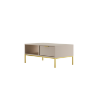 COUCHTISCH Austin 60/45/100 - Kaschmir/Goldfarben, Holzwerkstoff (100/60/45cm) - RAUMHIRSCH FURNITURE