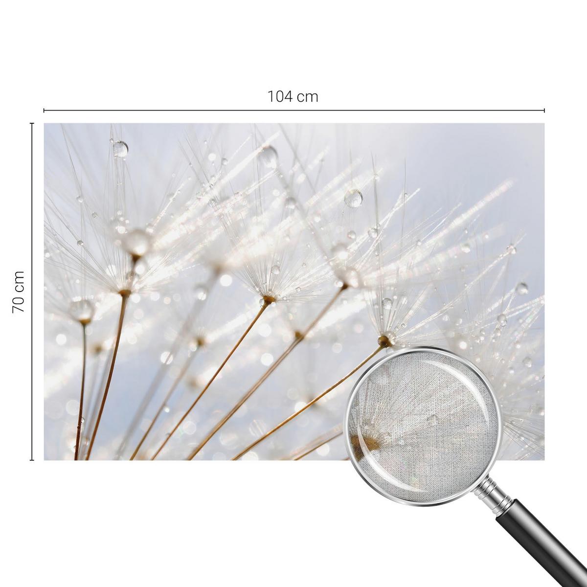 FOTOTAPETE 104x70 cm - Rosafarbener Löwenzahn - Weiß, Textil (104/70cm) - Wallfluent