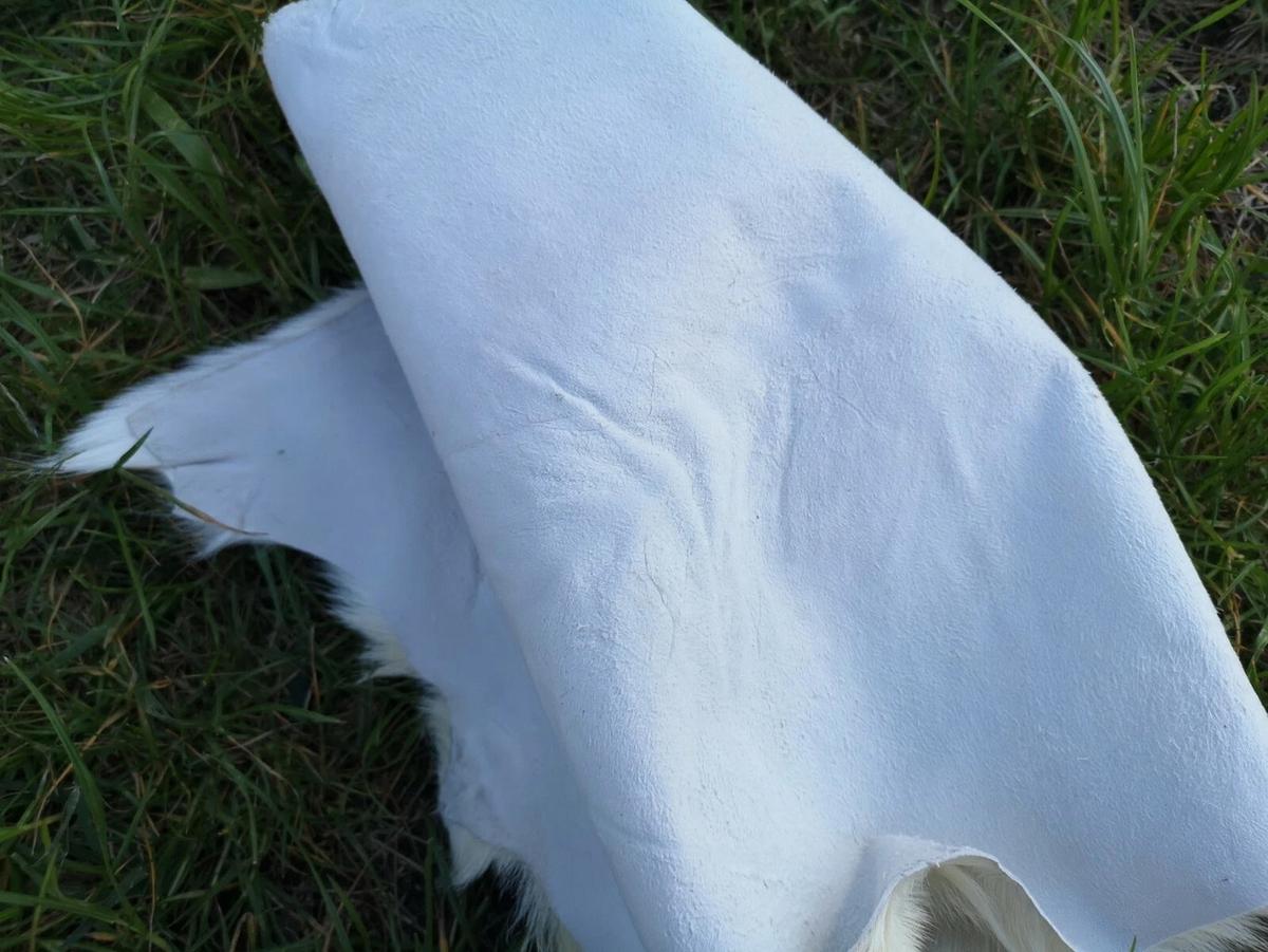 ZIEGENFELL Naturfell weich geruchsneutral Schnäppchen Weiß ca. 100 cm - Weiß, Fell (60/100cm) - Provellus