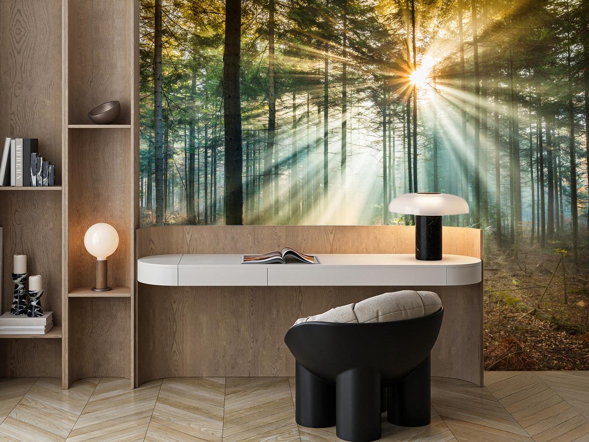 FOTOTAPETE für Wohnzimmer Herbstwald Sonnenuntergang Bäume Natur 300x210 - Beige/Gelb, Papier (300/210cm) - Muralo