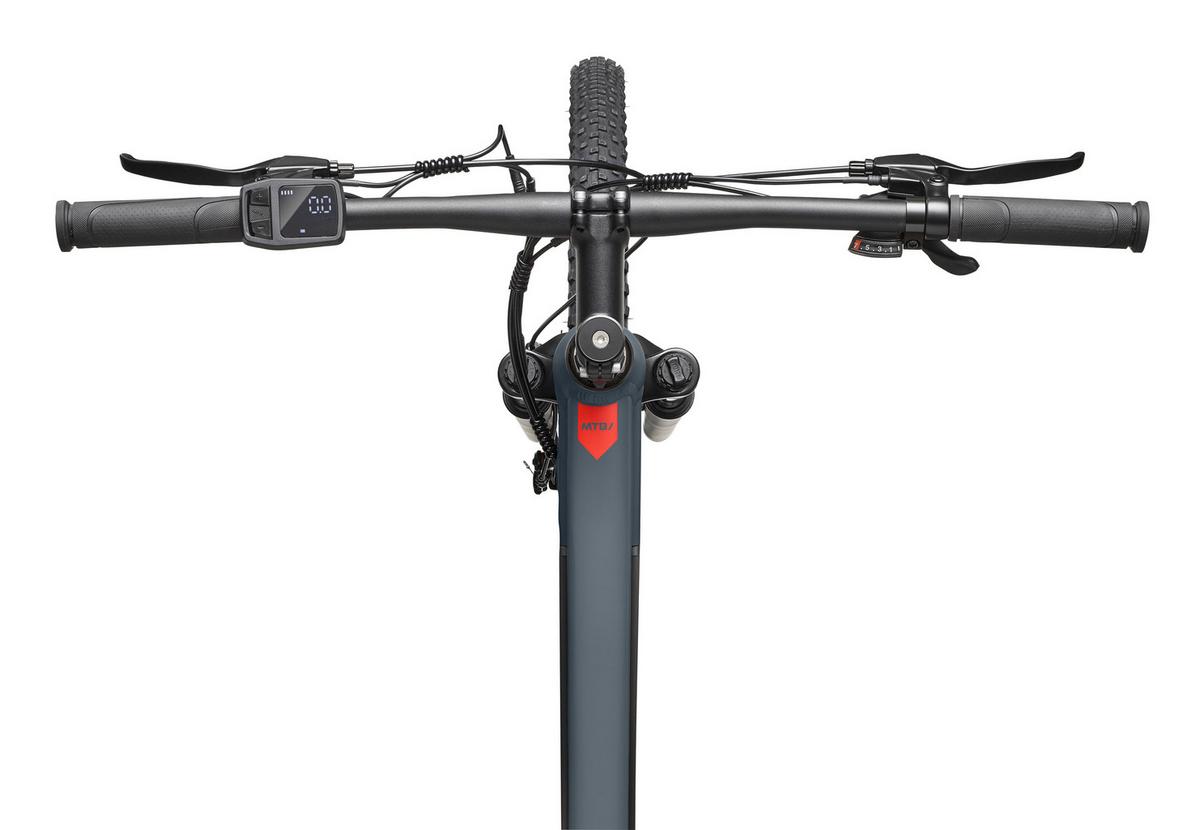 E-BIKE Mountainbike Aufsteiger M921 Für Damen u. Herren 468 Wh Heckmotor 7-Gang-Kettenschaltung 29 Zoll - Grau, Metall (114.6cm) - Telefunken