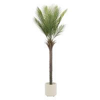 KUNSTPFLANZE Palme - Anthrazit/Grün, Holz/Kunststoff (180cm) - ML-DESIGN