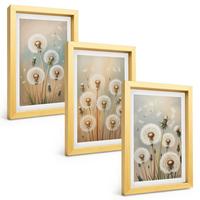 BILDER SET 3er Set - 20x30 cm Goldrahmen - Pastellfarbene Löwenzahnblüten - Goldfarben, Kunststoff (20/30cm) - TULUP