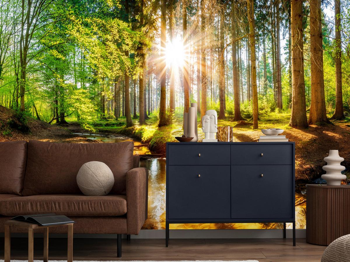 FOTOTAPETE für Wohnzimmer Pflanzen Natur Gras Sonniger Wald Bäume 250x175 - Multicolor, Papier (250/175cm) - Muralo