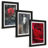 BILDER SET 3er Set - 20x30 cm Schwarzer Rahmen - Rote Rosen, Pferdegrau, Welt - Schwarz, Kunststoff (20/30cm) - TULUP