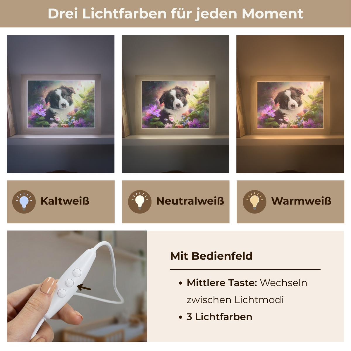 NACHTTISCHLAMPE Welpe - Sonne - Blumen - Natur - Border Collie - Hund 20x15 cm - Violett, Holzwerkstoff (8/20/15cm) - OnlyWow