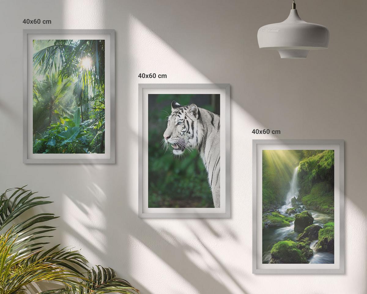 BILDER SET 3er Set - 40x60 cm Silberner Rahmen - Dschungeltigerwasserfall - Silberfarben, Kunststoff (40/60cm) - TULUP