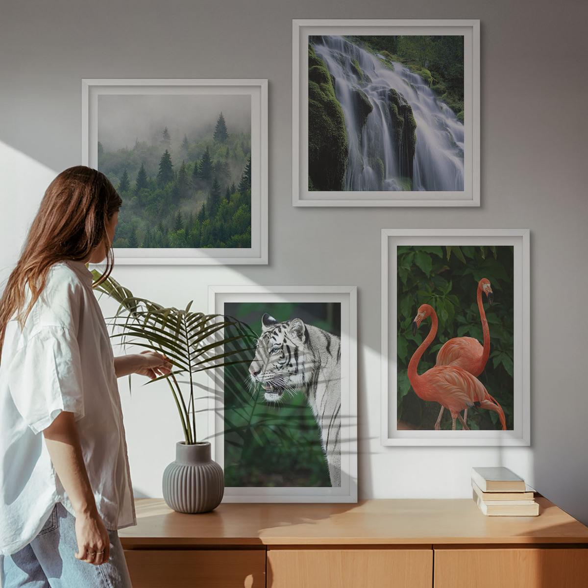 BILDER SET 4er Set - 50x50 cm & 40x60 cm Weißer Rahmen - Tiger Wasserfall Flamingos Natur - Weiß, Kunststoff (50/50cm) - TULUP