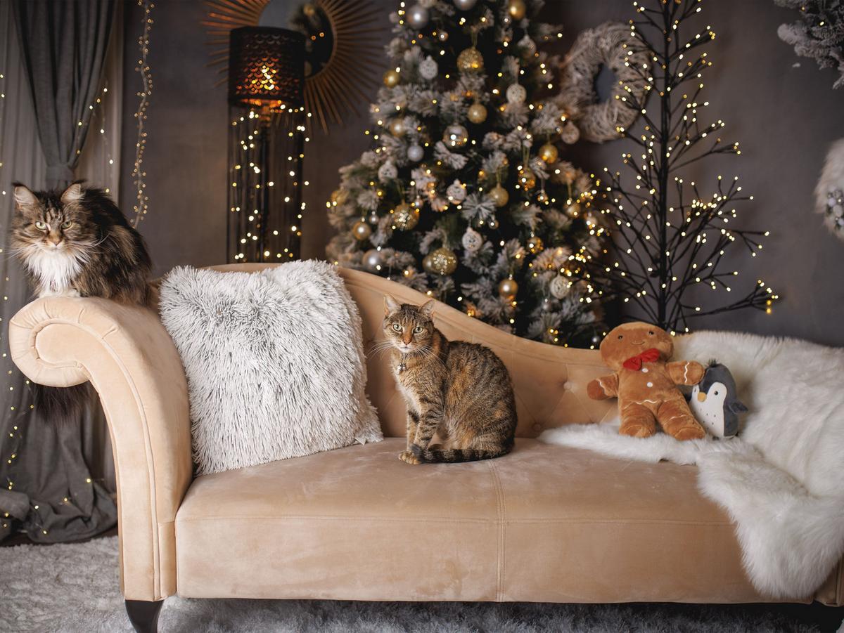 CHAISELONGUE Samtstoff beige rechtsseitig Lattes - Beige, Textil (188/87/59cm) - Beliani