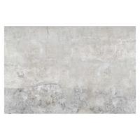 FOTOTAPETE Shabby Betonoptik 384/255 cm - Grau, Papier (384/255cm) - Bilderwelten
