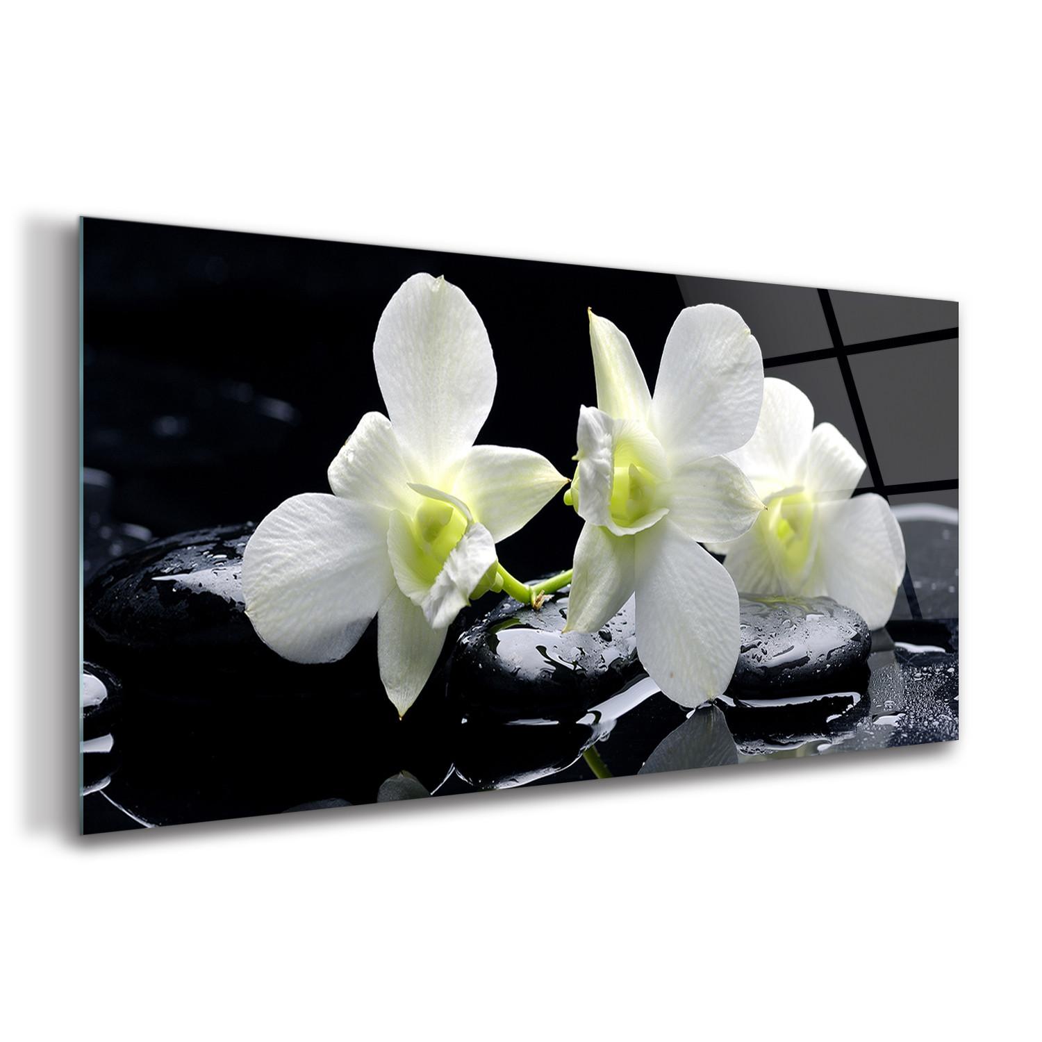 GLASBILD 100x50 cm Orchideenblüte - Schwarz, Glas (100/50cm) - TULUP