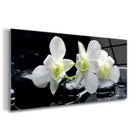 GLASBILD 100x50 cm Orchideenblüte - Schwarz, Glas (100/50cm) - TULUP
