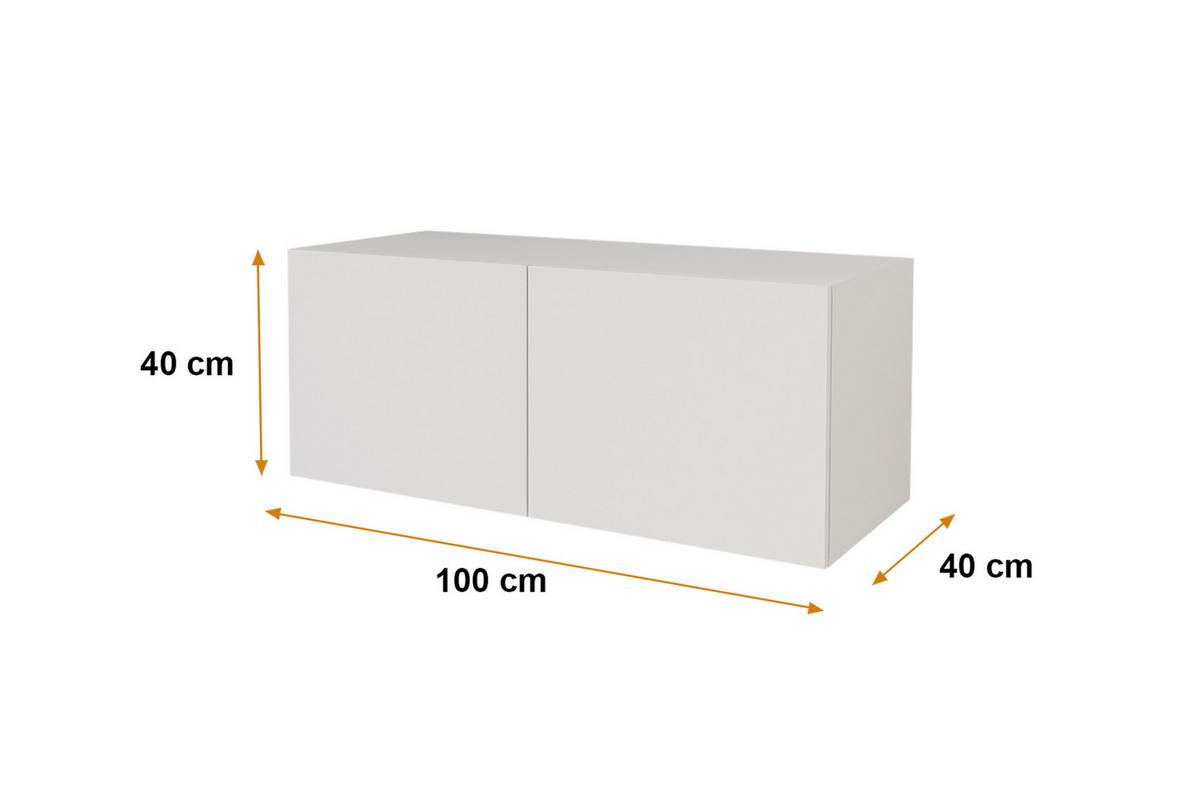 LOWBOARD ELIO-W 100x40x40 cm - Weiß - Weiß, Holzwerkstoff (100/40/40cm) - ALTDECOR