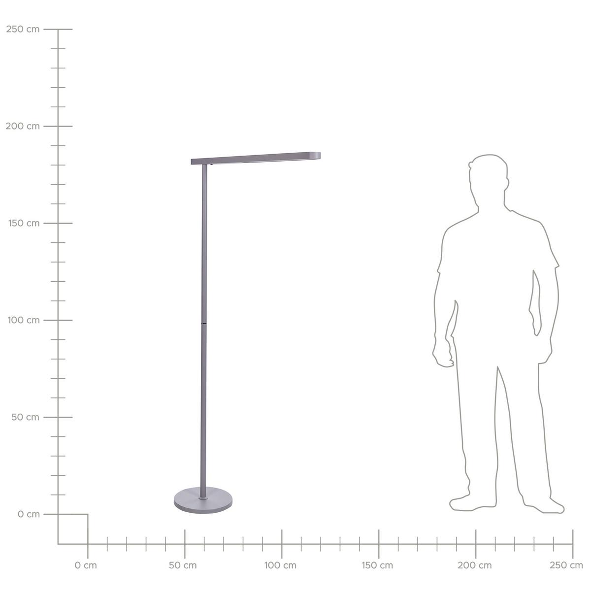 STEHLAMPE Perseus 7/95/186 cm - Silberfarben, Metall (7/95/186cm) - Beliani
