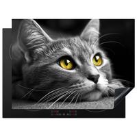 HERDABDECKPLATTE Katze - Grau - Tiere - Katze Herdabdeckung Induktionsfeld 70x52 cm - Grau, Kunststoff (70/52/0.2cm) - MuchoWow