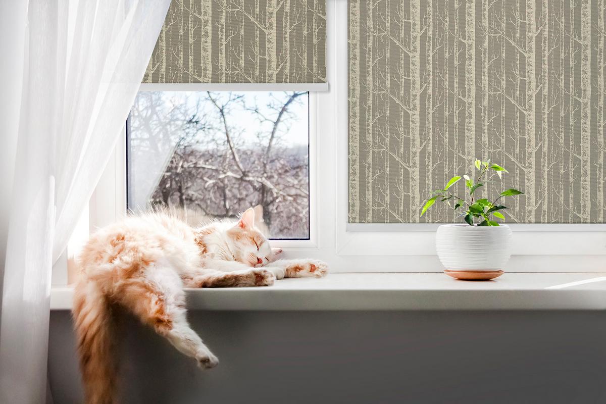 INNENROLLO - Fensterrollo - Rollo - 110x140 cm - Baumstämme - Braun, Kunststoff (110/140/0.5cm) - TULUP