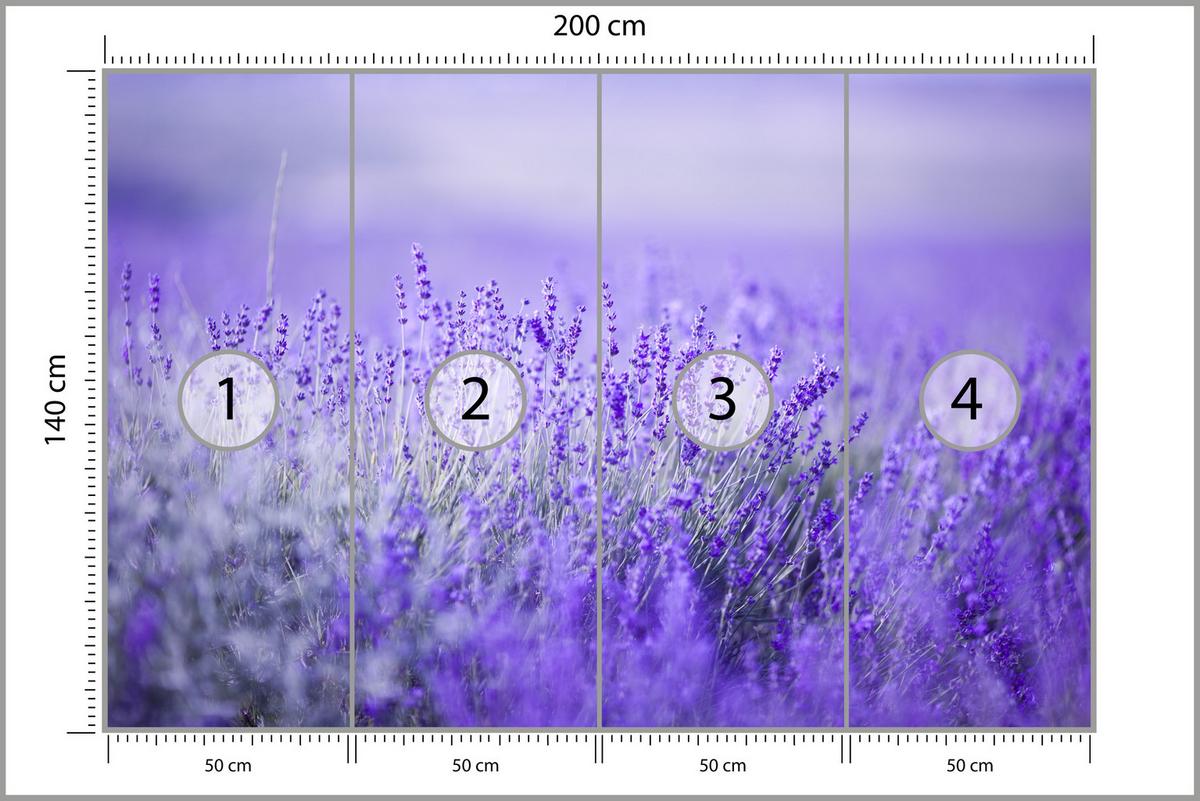 FOTOTAPETE für Küche Lavendelwiese Blüten Fliederfeld 200x140 - Violett/Lila, Papier (200/140cm) - Muralo