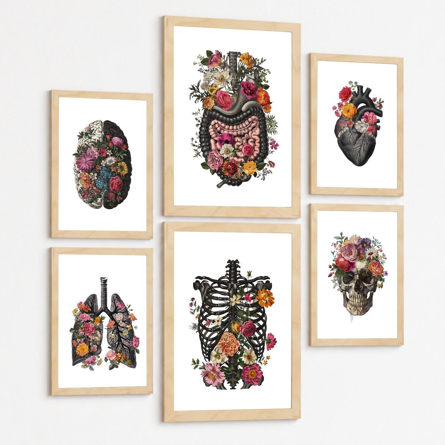 POSTER Set aus 6 Botanische Anatomie Drucke mit Herz Lungen Wirbelsäule Becken und Rippen Beige Terrakotta Erdtöne Leichter Holzrahmen A3 & A4 - Beige, Papier (21/29.7/3cm) - Nacnic