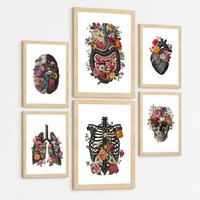 POSTER Set aus 6 Botanische Anatomie Drucke mit Herz Lungen Wirbelsäule Becken und Rippen Beige Terrakotta Erdtöne Leichter Holzrahmen A3 & A4 - Beige, Papier (21/29.7/3cm) - Nacnic