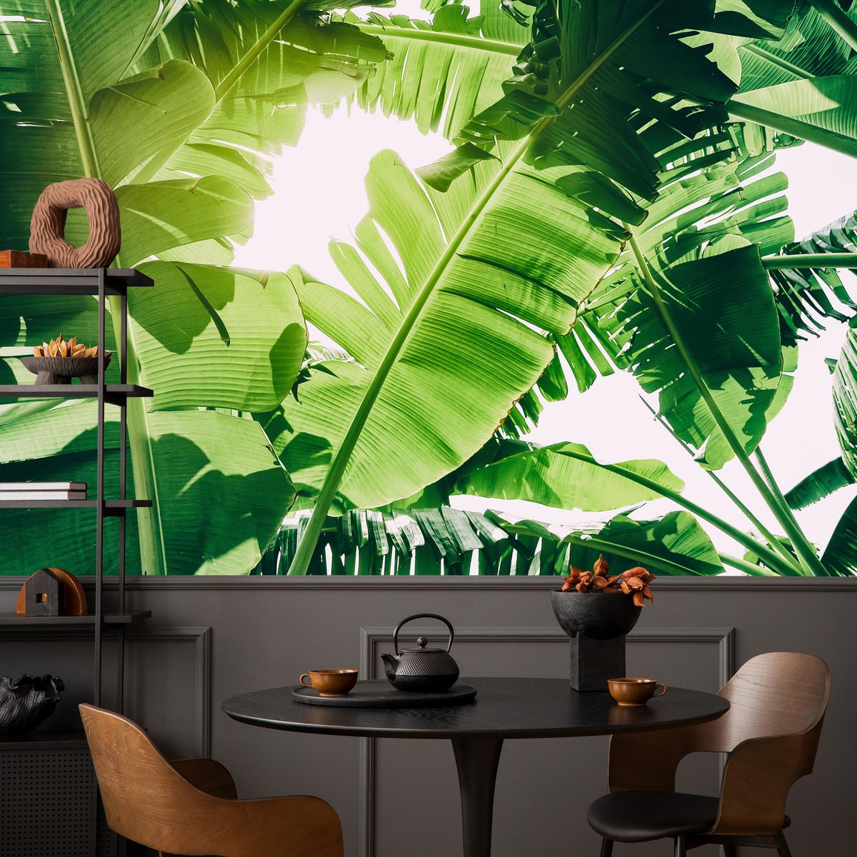 FOTOTAPETE für Wohnzimmer Bananenpflanze Grüne Blätter Tropisch 400x280 - Weiß/Grün, Papier (400/280cm) - Muralo