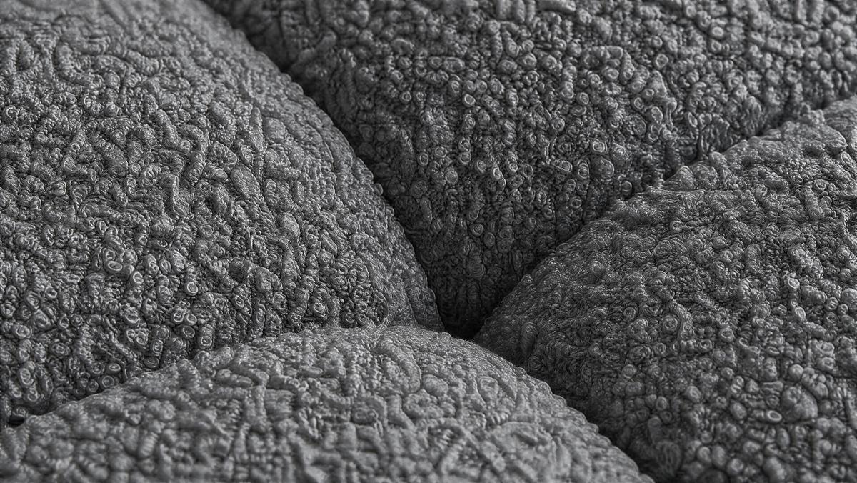 WOHNLANDSCHAFT OVIA U mit Bettkasten und Schlaffunktion, Bouclé-Stoff in U-Form - Dunkelgrau, Textil (350/80/185cm)