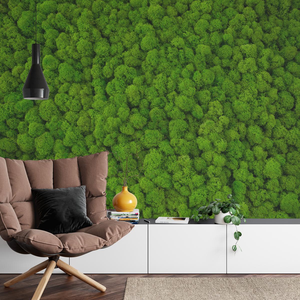 FOTOTAPETE für Jugendzimmer Dekorativer Grüner Moos Modern 150x105 - Grün, Papier (150/105cm) - Muralo