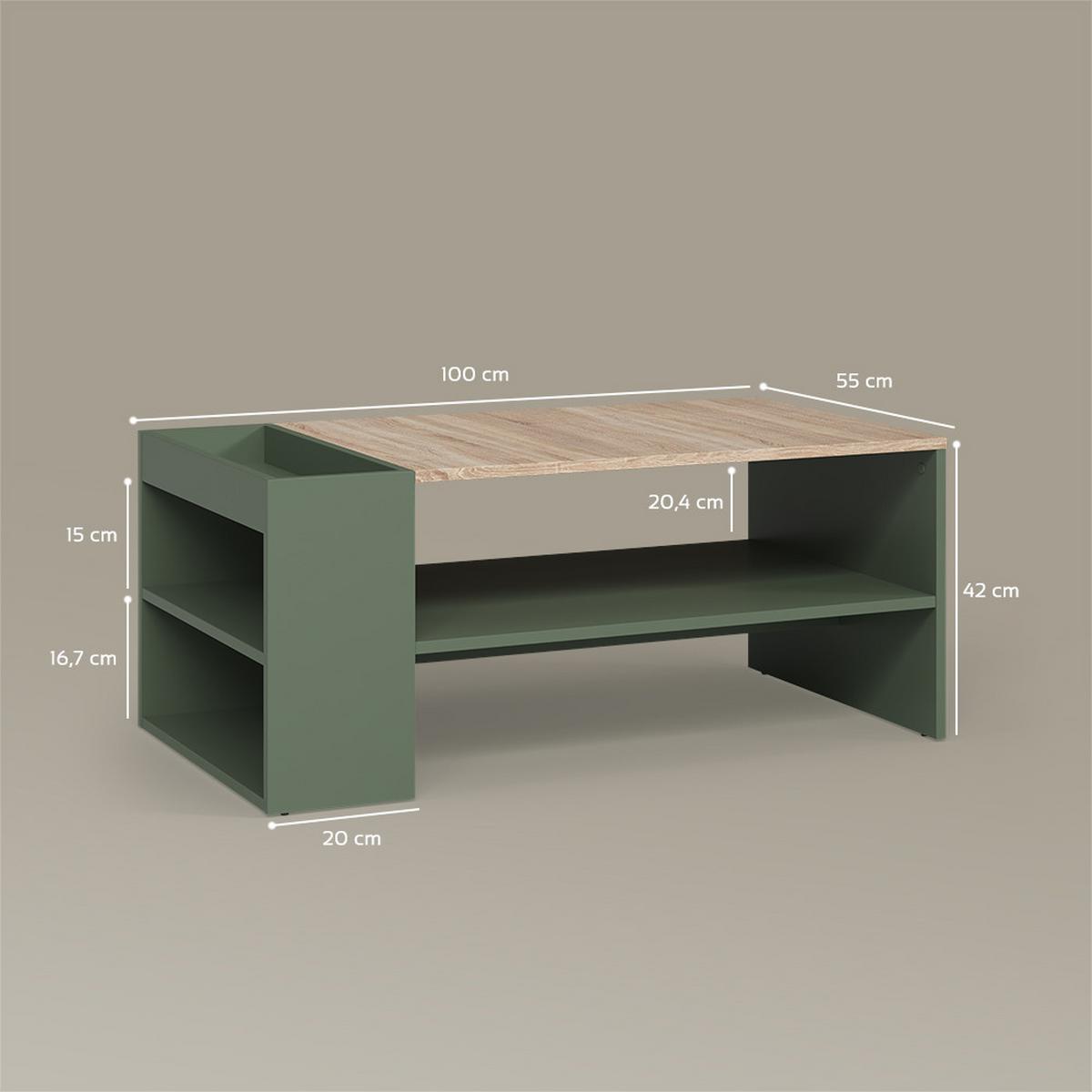COUCHTISCH Piave Grün mit Regalen - Grün, Holzwerkstoff (55/100/42cm) - Livinity®