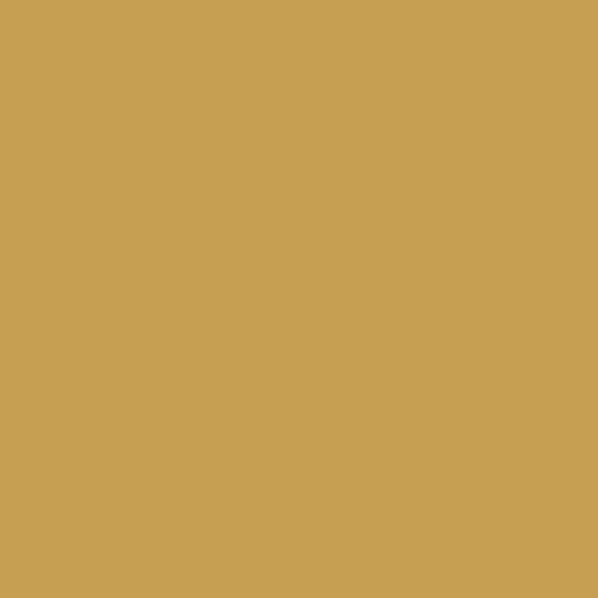 SCHALLPLATTEN BILDERRAHMEN 40/40 2er Set - Goldfarben, Holz (40/40cm) - K-Möbel