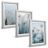 BILDER SET 3er Set - 20x30 cm Silberner Rahmen - Löwenzahn mit Wassertropfen - Silberfarben, Kunststoff (20/30cm) - TULUP