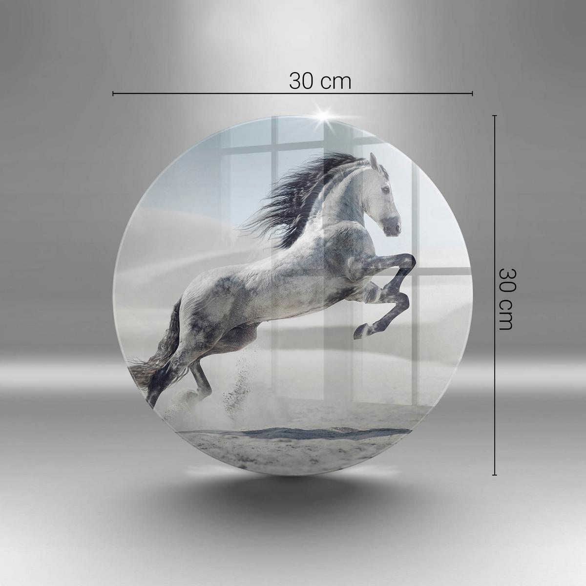 GLASPLATTE Ø 30 cm Weißes Rumänisches Pferd - Grau, Glas (30/30cm) - Wallfluent