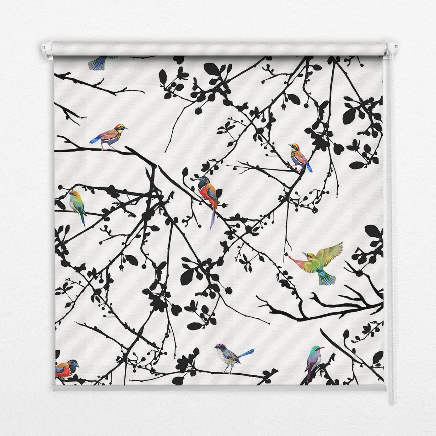 INNENROLLO - Fensterrollo - Rollo - 140x140 cm - Vögel auf den Ästen - Schwarz, Kunststoff (140/140/0.5cm) - TULUP
